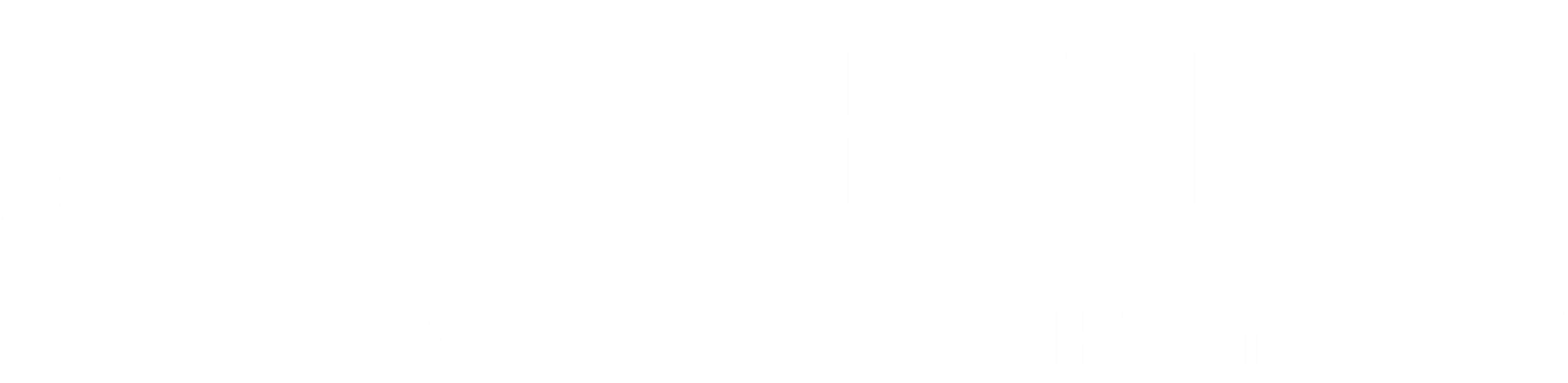 Cwt Yazılım v29